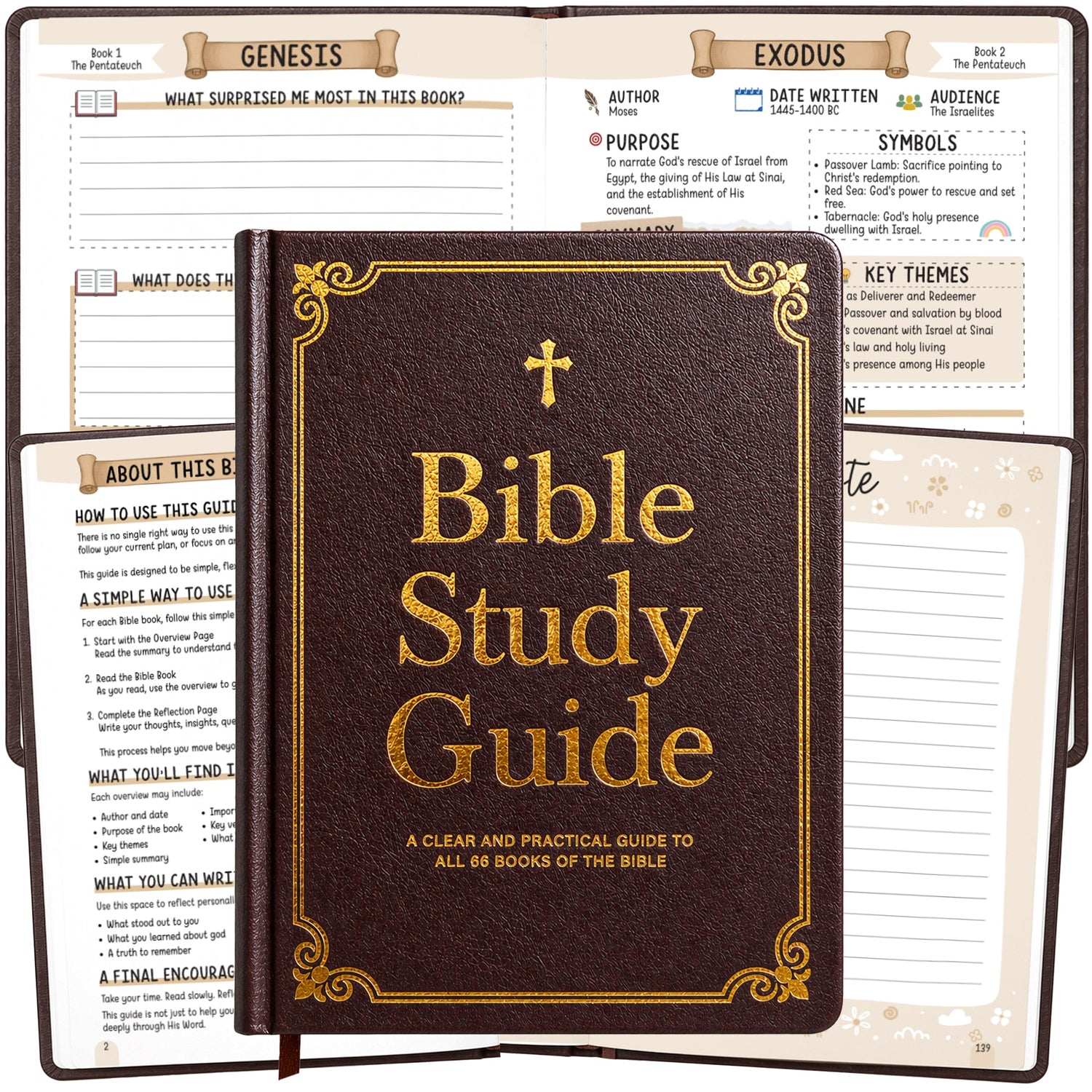 The 66 Books Bible Study Guide